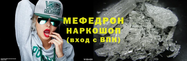 индика Новозыбков