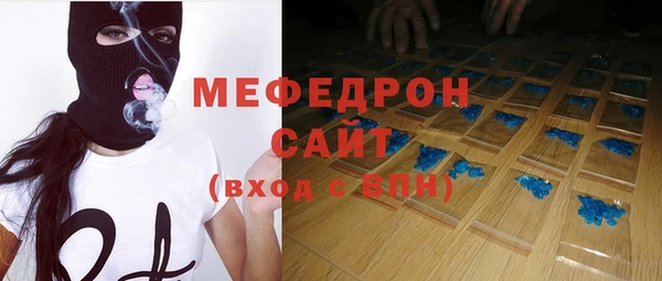 индика Новозыбков