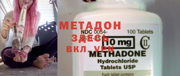 индика Новозыбков