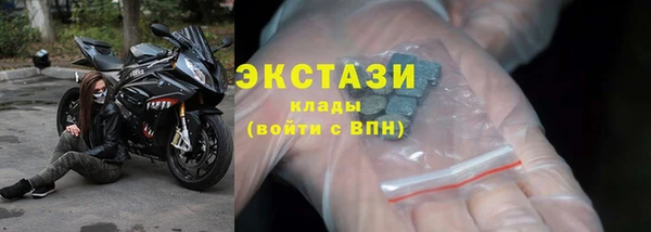 индика Новозыбков