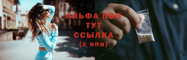 шишки Нея