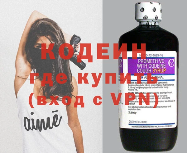 шишки Нея
