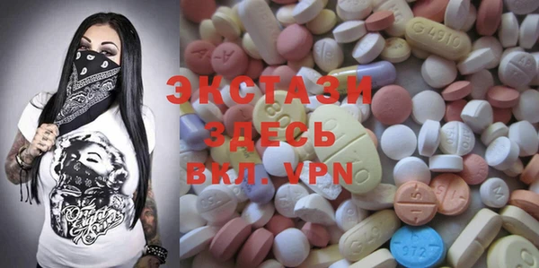 индика Новозыбков