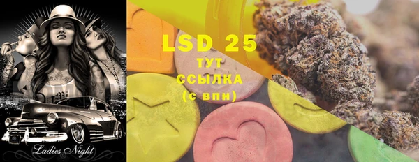 шишки Нея
