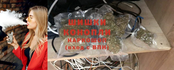 шишки Нея