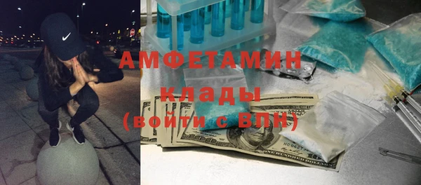 индика Новозыбков
