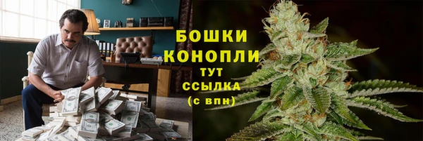 шишки Нея