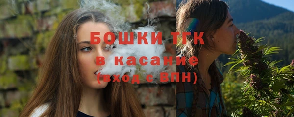 шишки Нея