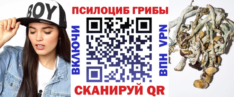 Псилоцибиновые грибы Psilocybine cubensis  что такое наркотик  Приволжск 